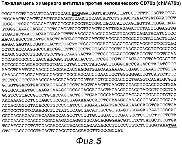 Анти-cd79b антитела и иммуноконъюгаты и способы их применения (патент 2553566)