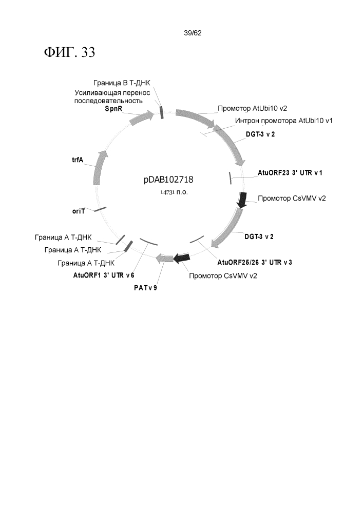Новый класс генов устойчивости к глифосату (патент 2634411)