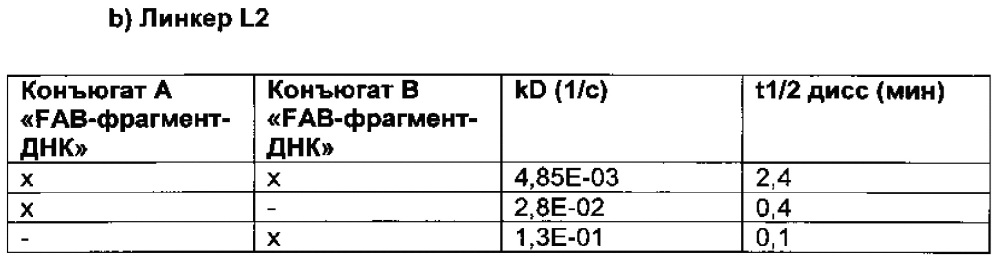 Способ отбора и получения селективных и мультиспецифических терапевтических молекул с заданными свойствами, включающих по меньшей мере две различные нацеливающие группировки, и их применения (патент 2644263)