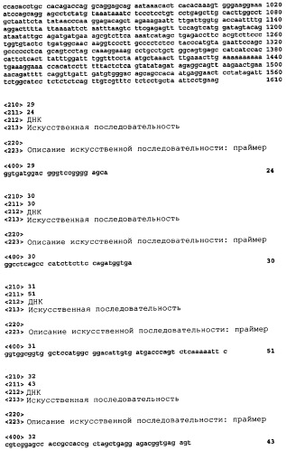 Терапевтические агенты, содержащие проапоптозные белки (патент 2319709)