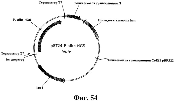 Композиции и способы получения изопрена (патент 2545699)