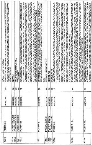 Pscaxcd3, cd19xcd3, c-metxcd3, эндосиалинxcd3, epcamxcd3, igf-1rxcd3 или fap-альфаxcd3 биспецифическое одноцепочечное антитело с межвидовой специфичностью (патент 2547600)