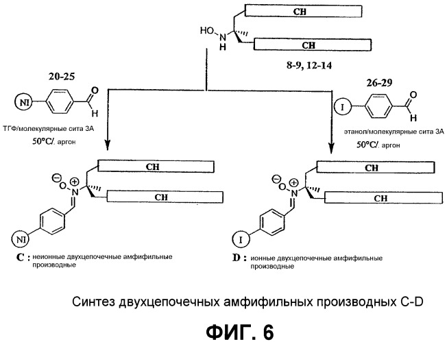 Новые амфифильные производные aльфа-c-фенил-n-трет-бутилнитрона (патент 2364602)