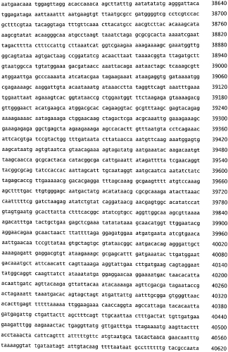 Бактериофаг, обладающий активностью против pseudomonas aeruginosa, белки бактериофага и способы их применения (патент 2580248)
