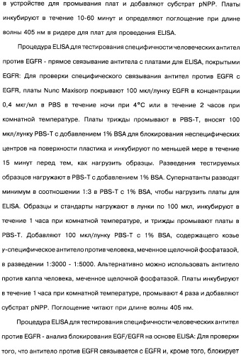 Человеческие моноклональные антитела к рецептору эпидермального фактора роста (egfr), способ их получения и их использование, гибридома, трансфектома, трансгенное животное, экспрессионный вектор (патент 2335507)