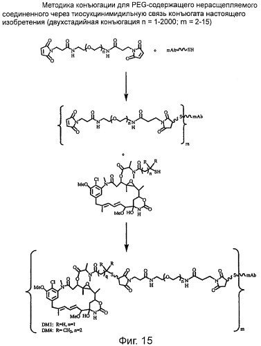 Высокоэффективные конъюгаты и гидрофильные сшивающие агенты (линкеры) (патент 2487877)