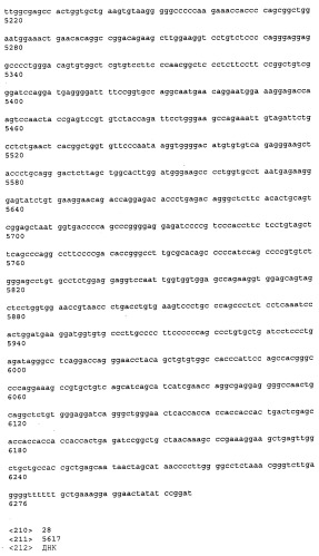Антитела к рецептору конечных продуктов глубокого гликирования (rage) и их применения (патент 2518351)