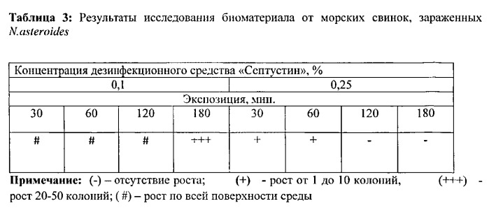 Способ предпосевной обработки патологического материала для выделения нокардиоформных актиномицетов (патент 2559523)