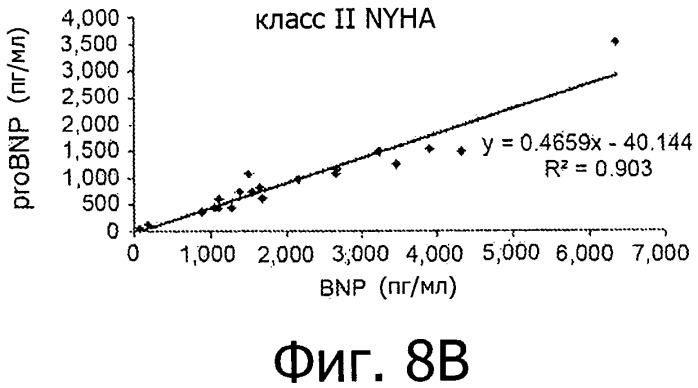 Новый эпитоп bnp (1-32) и антитела, направленные против указанного эпитопа (патент 2511033)