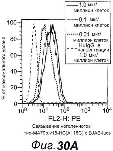 Анти-cd79b антитела и иммуноконъюгаты и способы их применения (патент 2553566)
