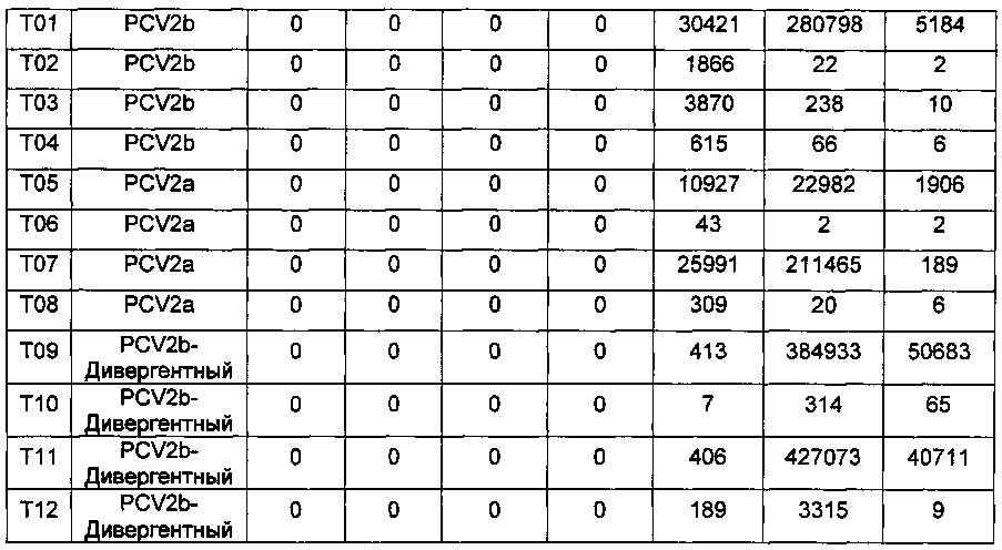 Pcv2b дивергентная вакцинная композиция и способы её применения (патент 2662685)