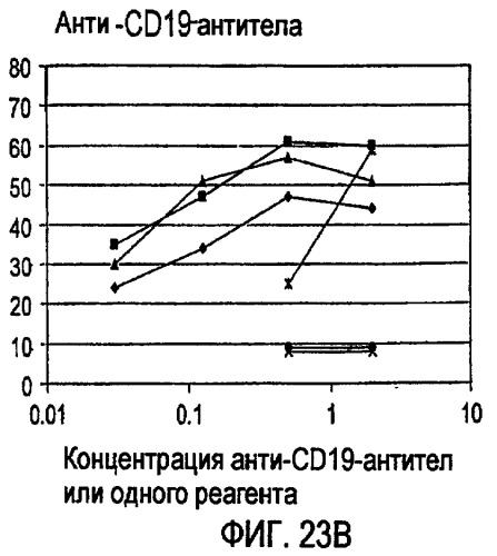 Снижение количества в-клеток с использованием cd37-специфических и cd20-специфических связывающих молекул (патент 2423381)