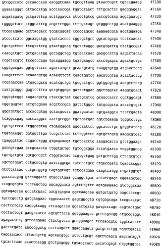 Бактериофаг, обладающий активностью против pseudomonas aeruginosa, белки бактериофага и способы их применения (патент 2580248)