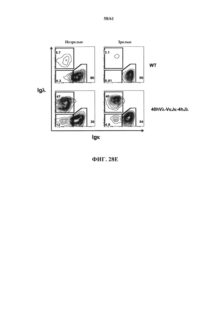 Мыши с гуманизированной легкой цепью (патент 2664181)