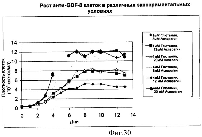 Производство полипептидов (патент 2451082)