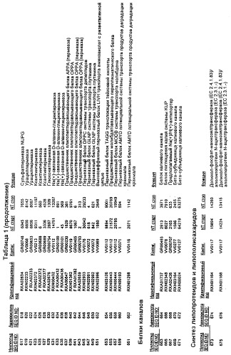 Гены corynebacterium glutamicum, кодирующие белки, участвующие в синтезе мембран и мембранном транспорте (патент 2312145)