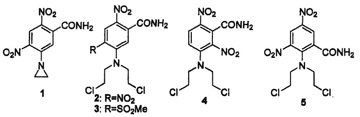Новые нитрофенилипритные и нитрофенилазиридиновые спирты и их соответствующие фосфаты и их применение в качестве нацеленных цитотоксических средств (патент 2372324)