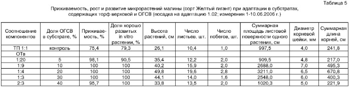 Cпособ доращивания in vitro растений ягодных и декоративных кустарников в нестерильных условиях (патент 2366153)