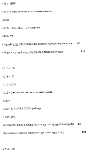 Модифицированное агонистическое антитело (патент 2295537)