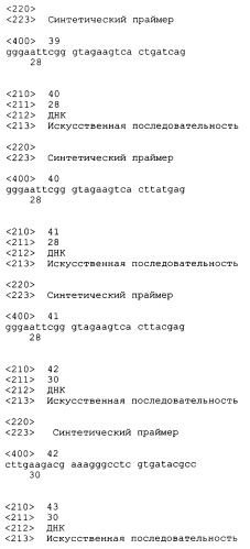 Трансгенные копытные животные, имеющие пониженную активность прионного белка, и их применения (патент 2384059)