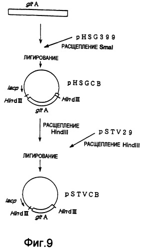 Органическая азотсодержащая композиция и удобрение, включающее ее (патент 2291139)