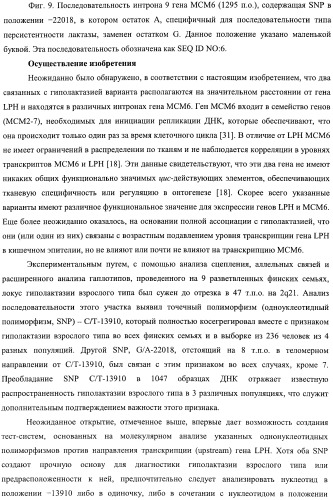 Идентификация варианта днк, связанного с гиполактазией взрослого типа (патент 2391404)