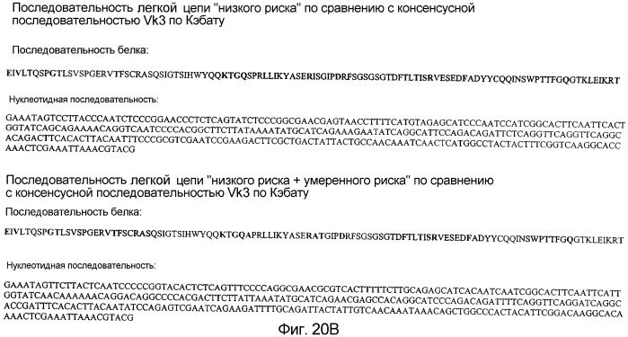 Не мышиное анти-m-csf-антитело (варианты), его получение и использование (патент 2401277)