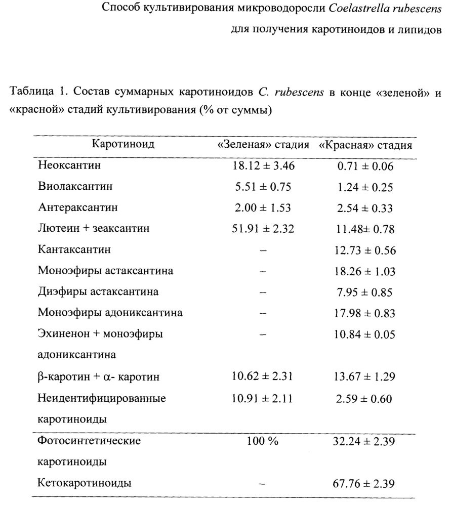 Способ культивирования микроводоросли coelastrella rubescens для получения каротиноидов и липидов (патент 2661086)