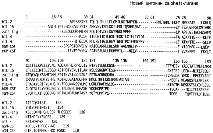 Выделенный полипептид, связывающий рецептор zalpha11-лиганда (варианты), кодирующий его полинуклеотид (варианты), вектор экспрессии (варианты) и клетка-хозяин (варианты) (патент 2346951)
