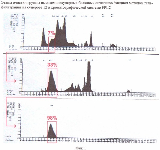 Способ очистки группы высокомолекулярных белковых антигенов фасциол (патент 2422456)