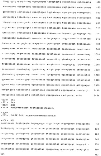 Psma×cd3 биспецифическое одноцепочечное антитело с межвидовой специфичностью (патент 2559531)