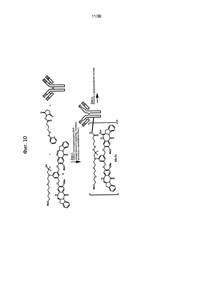 Способы получения конъюгатов (патент 2621035)