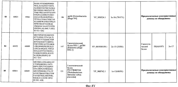 Бактериофаг, обладающий активностью против pseudomonas aeruginosa, белки бактериофага и способы их применения (патент 2580248)