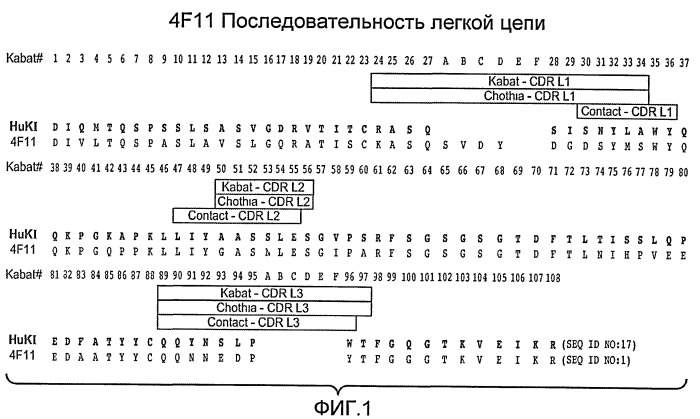 Антитела к egfl7 и способы их применения (патент 2415870)
