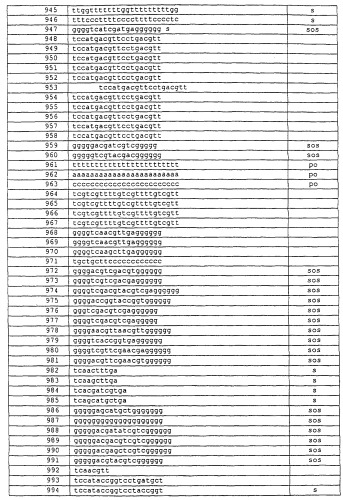 Иммуностимулирующие нуклеиновые кислоты (патент 2245149)