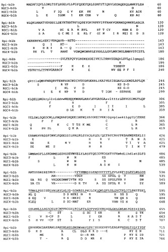 Ген, придающий устойчивость к phytophthora infestans (фитофторозу) в семействе solanaceae (патент 2361920)