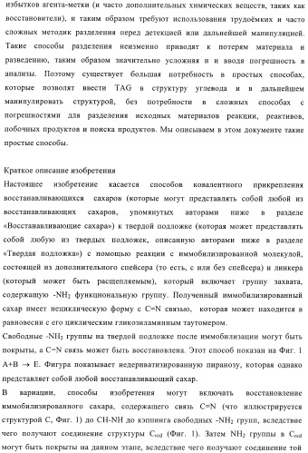 Твердофазное тегирование олигосахаридов: методика для манипуляции с иммобилизированными углеводами (патент 2398237)