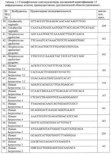 Дифференцирующий и специфический олигонуклеотиды для идентификации последовательностей днк инфекционных агентов в биологических материалах, способ видовой идентификации инфекционных агентов, биочип и набор для осуществления этого способа (патент 2348695)