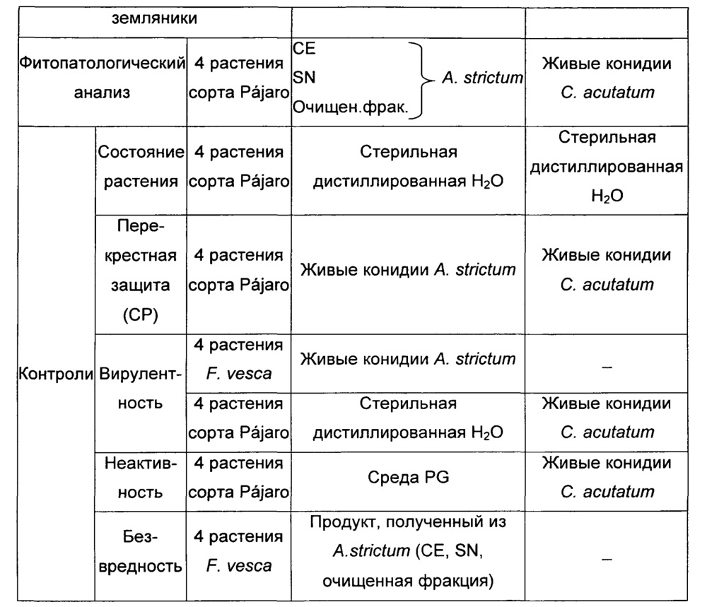 Полипептид, обладающий активностью, индуцирующей защиту против биотического стресса у растений, кодирующая его нуклеотидная последовательность, микроорганизм, композиции и способы (патент 2606261)