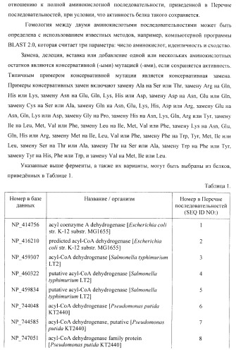 Бактерия - продуцент 1-бутанола и способ получения 1-бутанола (патент 2431672)