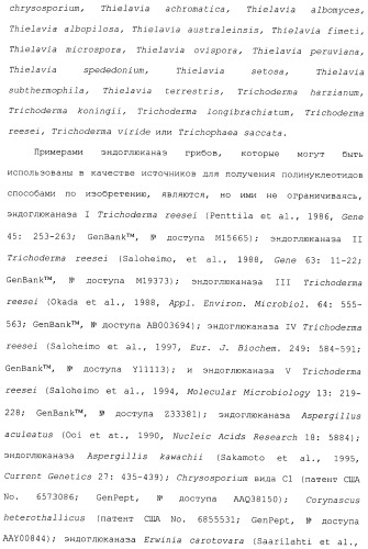 Клетка-хозяин trichoderma reesei для получения целлюлолитической белковой композиции, целлюлолитическая белковая композиция, способы ее получения и применения (патент 2494146)