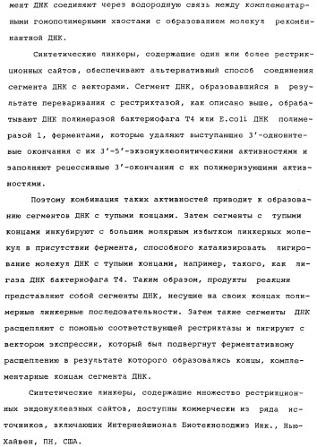 Vgc2 днк salmonella typhimurium, мутантная бактерия, обладающая пониженной способностью к адаптации к условиям окружающей среды, и способ ее получения (патент 2370541)