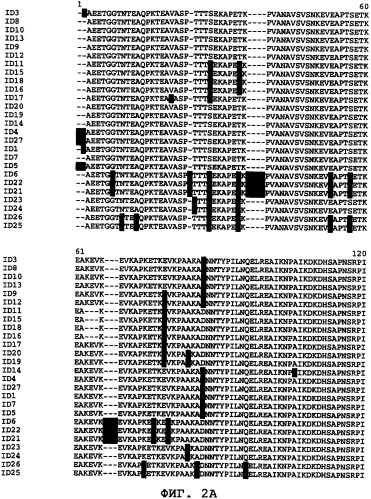 Полипептиды для индукции защитного иммунного ответа против staphylococcus aureus (патент 2337108)