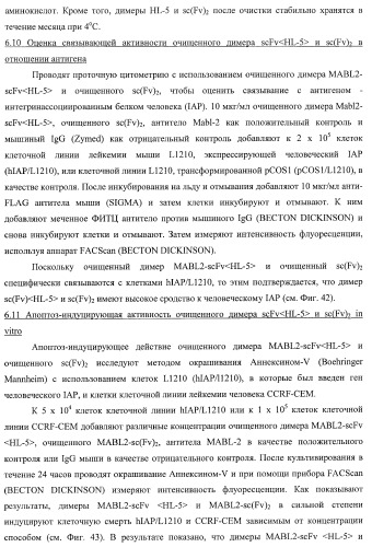 Днк, кодирующая модифицированное антитело или соединение с активностью агониста тро, способ их получения и животная клетка или микроорганизм, их продуцирующие (патент 2422528)