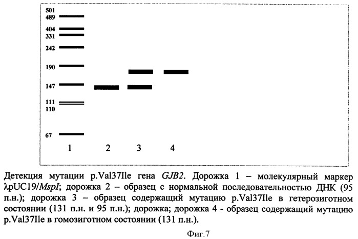Способ детекции 17 мутаций генов gjb2 и gjb6 при наследственной несиндромальной глухоте (патент 2448163)