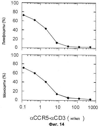 Конструкции антител и хемокинов и их применение при иммунологических нарушениях (патент 2252786)