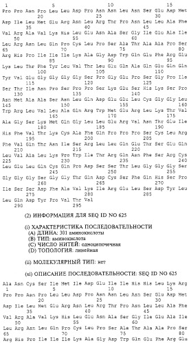 Гемопоэтический белок (варианты), последовательность днк, способ получения гемопоэтического белка, способ селективной экспансии кроветворных клеток, способ продуцирования дендритных клеток, способ стимуляции продуцирования кроветворных клеток у пациента, фармацевтическая композиция, способ лечения (патент 2245887)