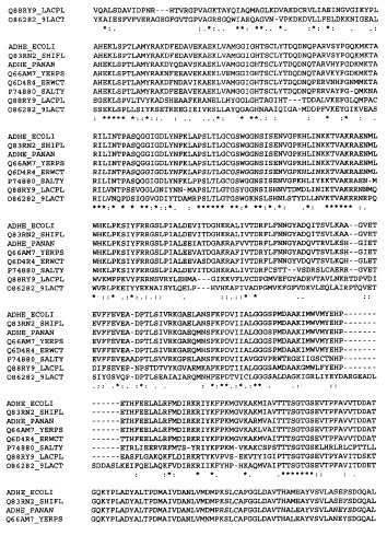 Способ получения l-аминокислот с использованием бактерии семейства enterobacteriaceae (патент 2364628)