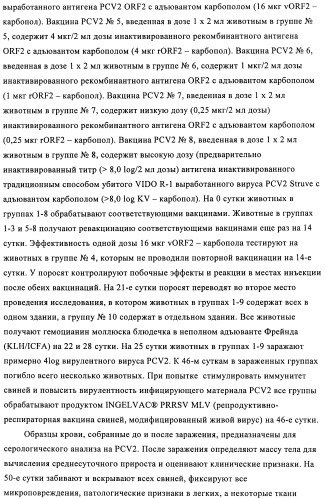 Поливалентные иммуногенные композиции pcv2 и способы получения таких композиций (патент 2488407)