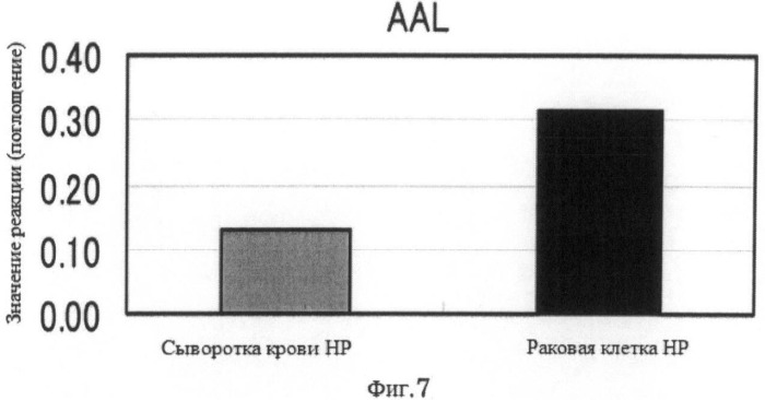 Способ диагностики рака поджелудочной железы (патент 2533219)